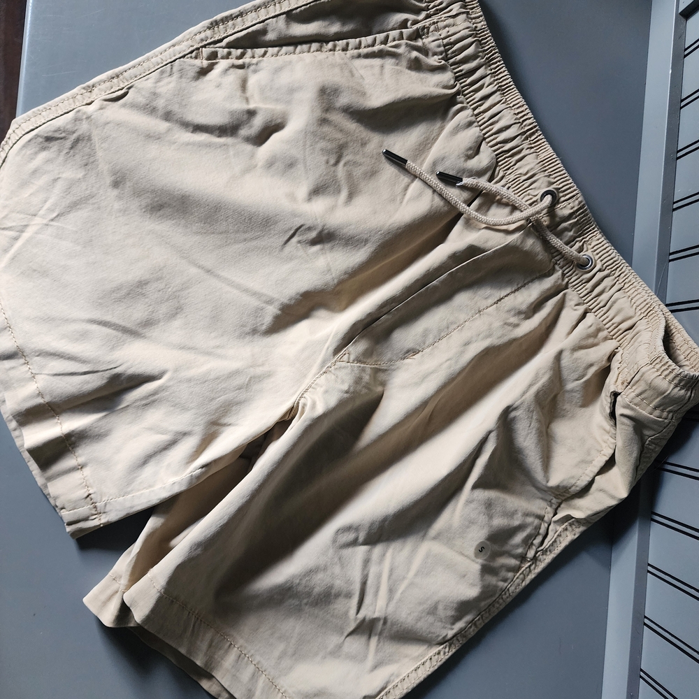 American Eagle Outfitters Men's Beige Flat Front Shorts